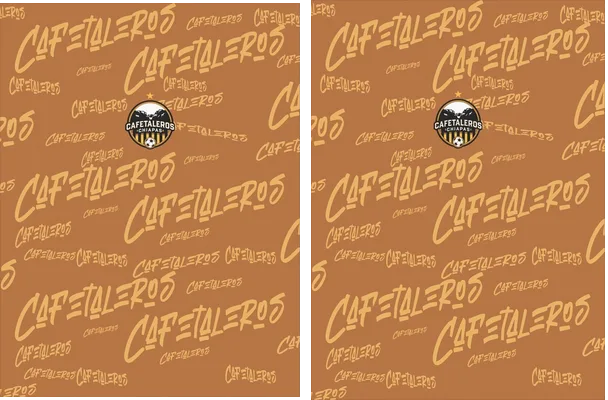 CAFETALEROS OFICIAL JERSEY