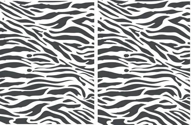 CALAMAR DESIGN ANIMAL