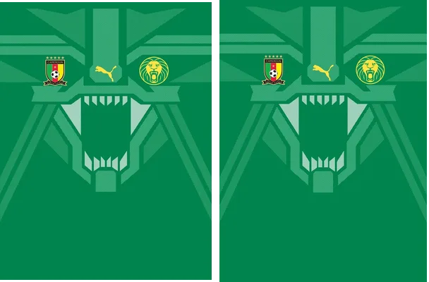 CAMERoN HOME KIT 2018 19
