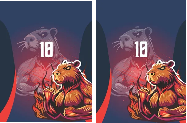 CAPIBARA RED DESIGN