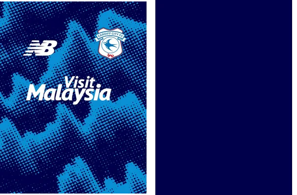 CARDIFF Concept
