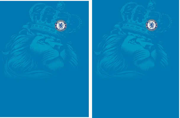 CHELSEA LEON DEGRADE