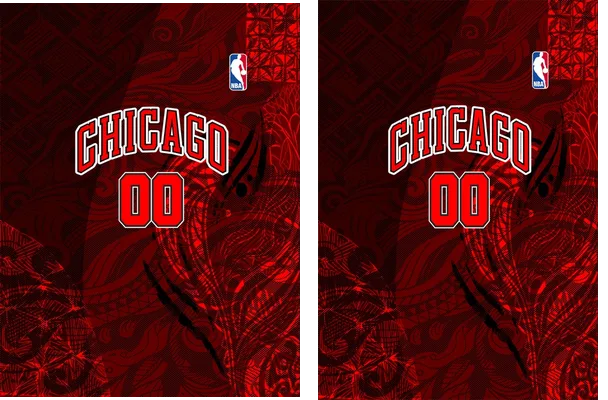 CHICAGO BULLS CONCEPT