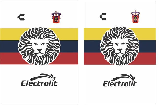 CLUB LEONES NEGROS AWAY KIT 2017 18