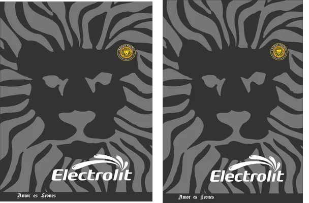 CLUB LEONES NEGROS THIRD KIT 2020 21