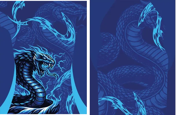 COBRA CELESTE INTERCLASSE 2025