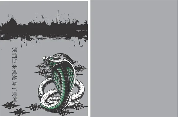 COBRA INTERCLASSE 2024