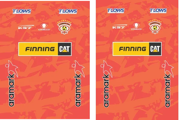 COBRELOA 2022 OFICIAL