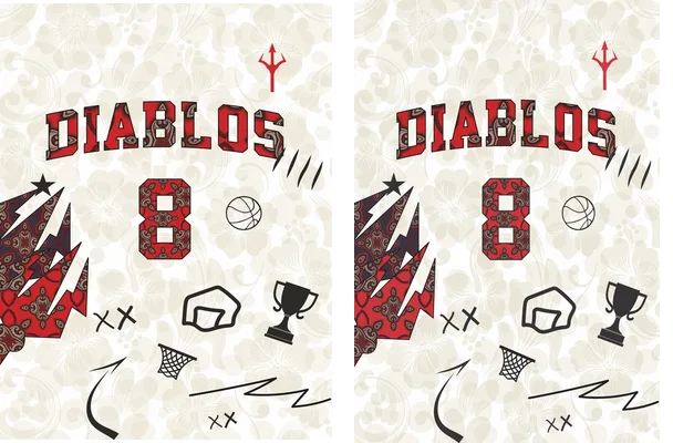 CONCEPT BULLS SF