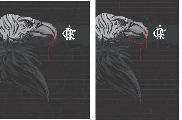 CONCEPT DESIGN FLAMENGO