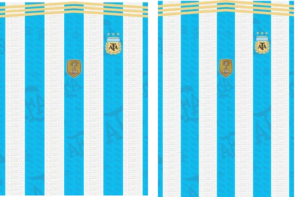 CONCEPTO ARGENTINA ADIDAS