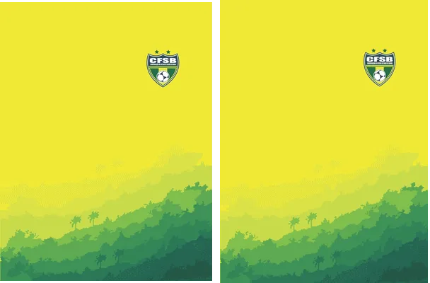 CONFEDERACION DE FUTBOL BRASIL