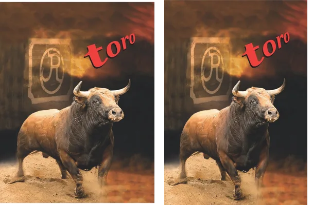 CORRIDA DE TOROS DESIGN