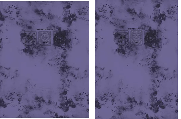 COSMIC NATURE DESIGN