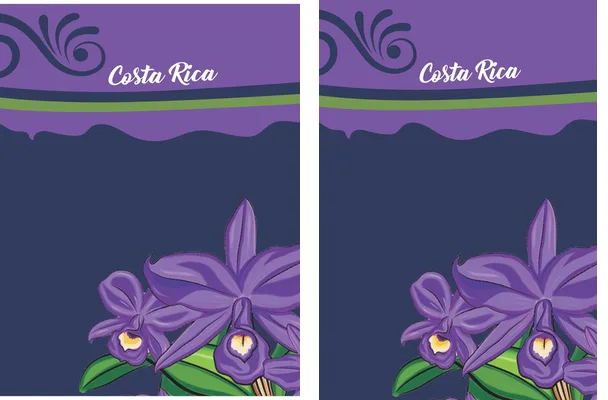 COSTA RICA 010
