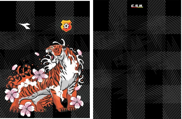 CS Herediano Concept 2024 Q 1
