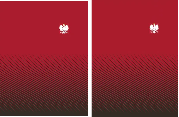 Camiseta Ni Polonia 2016