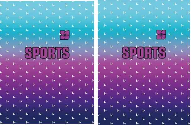 Camiseta Sports Jersey