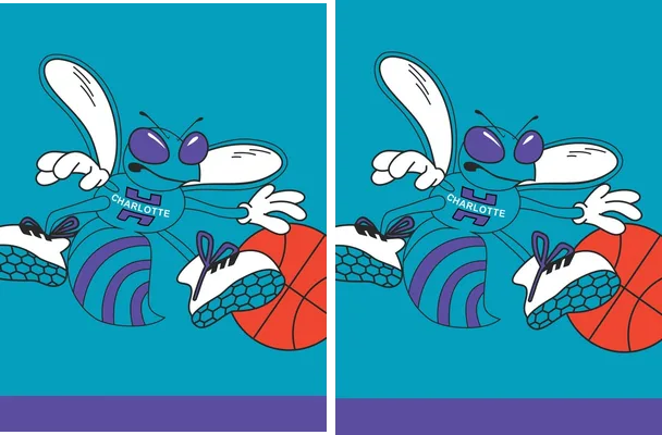 Charlotte Hornets Design Vector