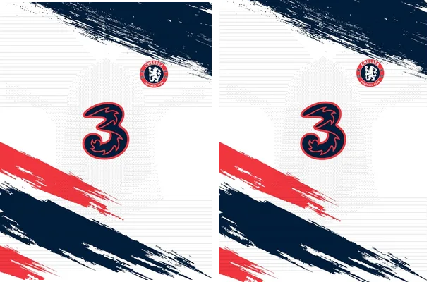 Chelsea Grunge Lion Concept