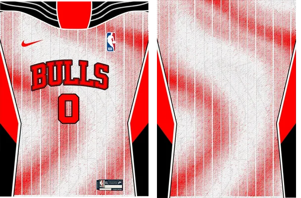 Chicago Bulls Concpet