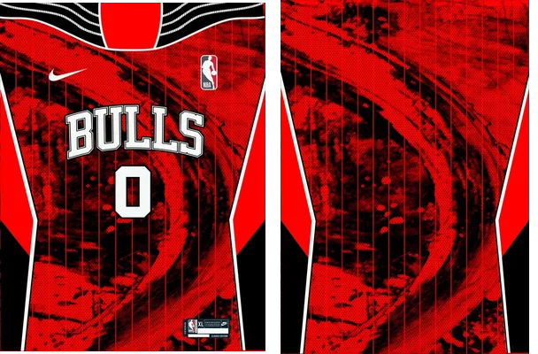 Chicago Bulls Home Concept