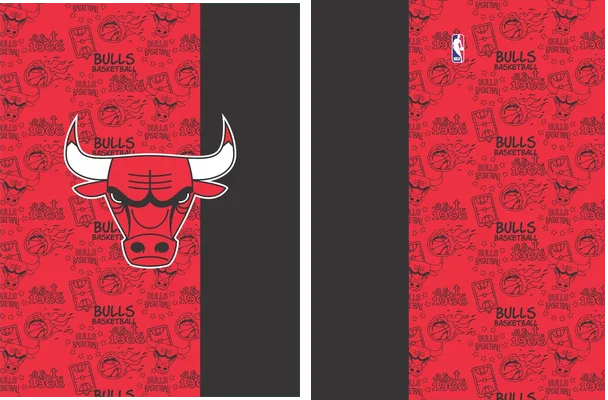 Chicago Bulls NBA Q 1
