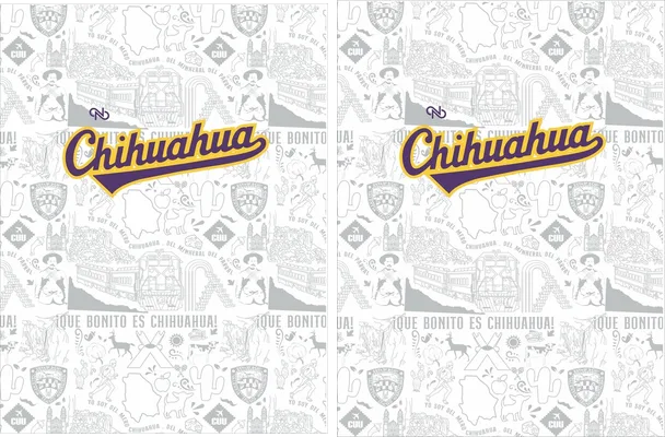 Chihuahua 2023 2024 Oficial