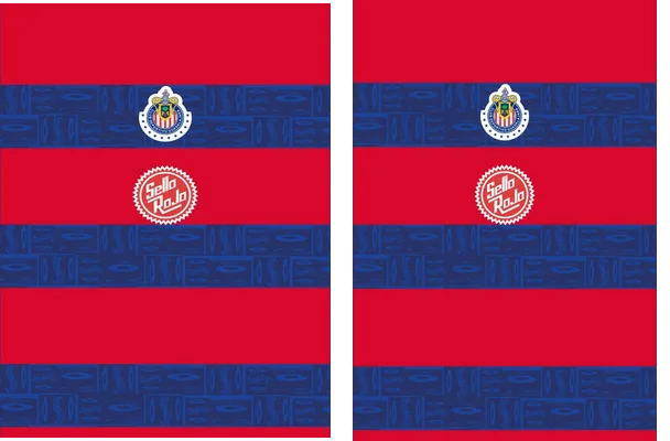 Chivas de Guadalajara 2019 20