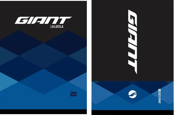 Ciclismo Giant Q 1
