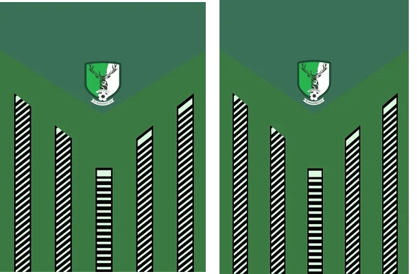 Club De Futbol El Mazateco