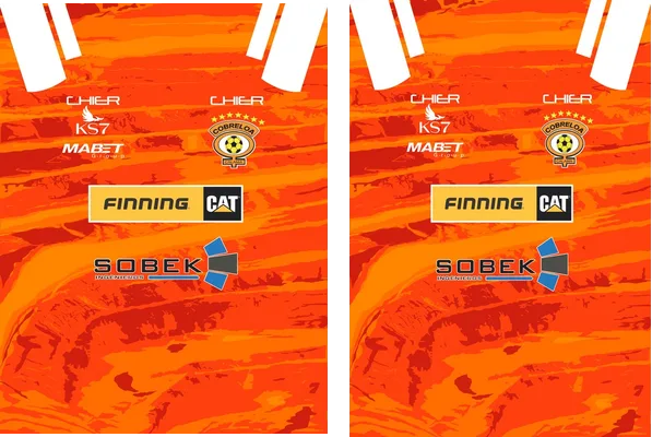 Club Deportivo Cobreloa 2024