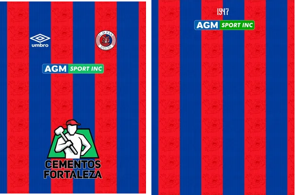 Club FAS Home Kit 24 25 PRO Q 1