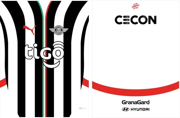 Club Libertad Home Kit 24 25 Q 1