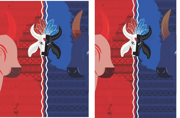 DESIGN BOI BULLS