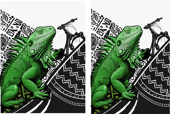 DESIGN BY BICICLETA