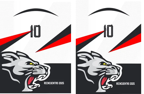 DESIGN PUMA TRIANGULOS