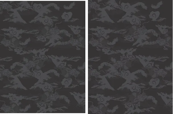 DRAGÓN OLAS TEXTURA 2024