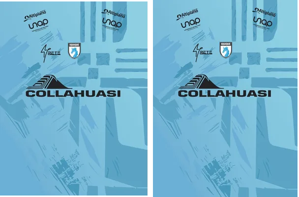 Deportes Iquique 2024 25 Home 2