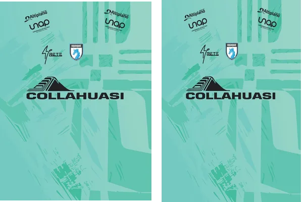 Deportes Iquique 2024 25 Home 2 Q 1