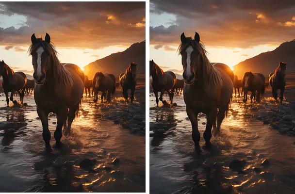 Design Jersey Horses