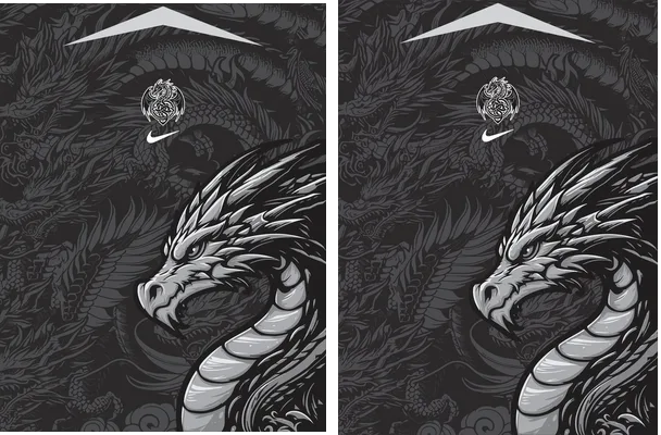 Dragon Gris Interclasse 24