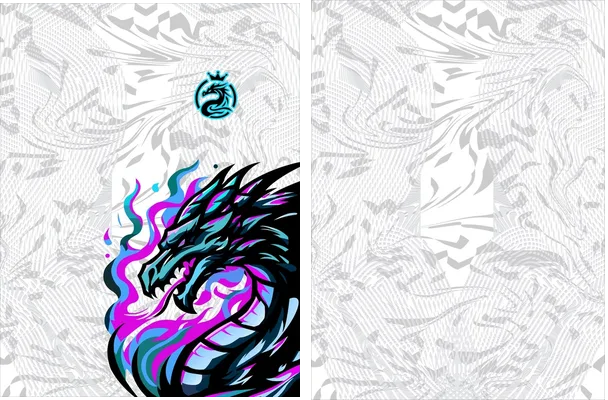 Dragon Interclasse Bicolor 25