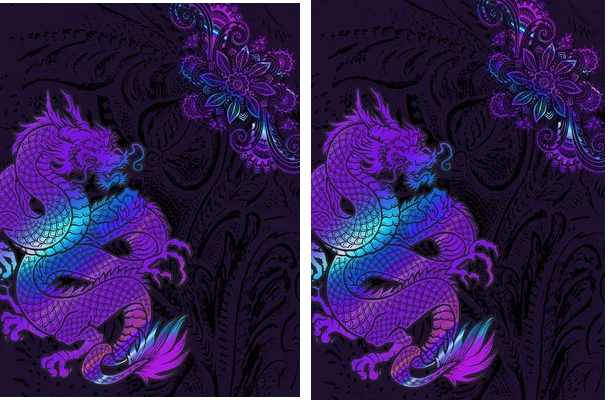 Dragon Interclasse Bicolor PRO