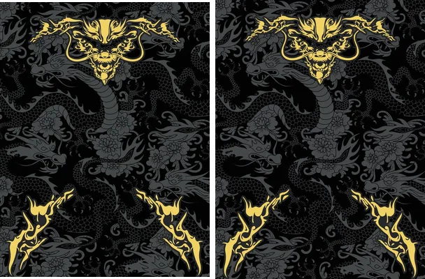 Dragon Matt Concept PRO