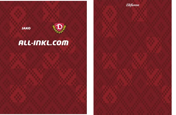 Dynamo Dresden Alternativa 2024 2025