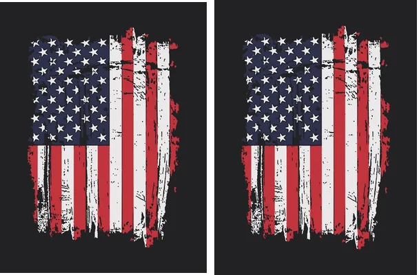 ESTADOS UNIDOS BANDERA CONCEPT