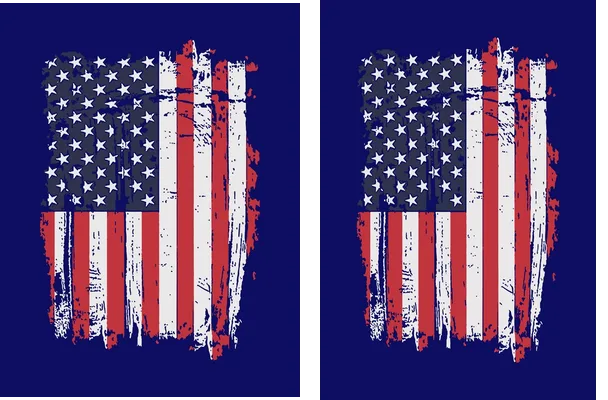 ESTADOS UNIDOS BANDERA CONCEPT Q 1