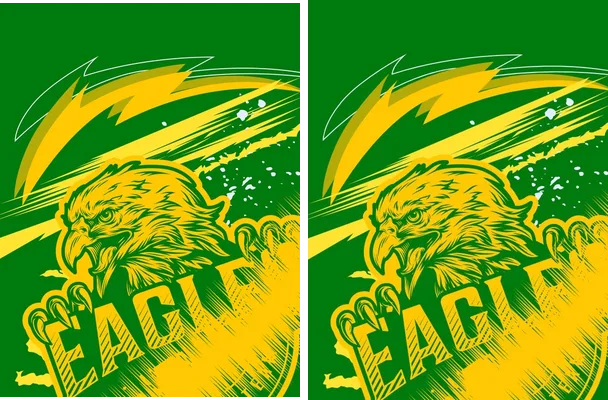 Eagle Sport Design