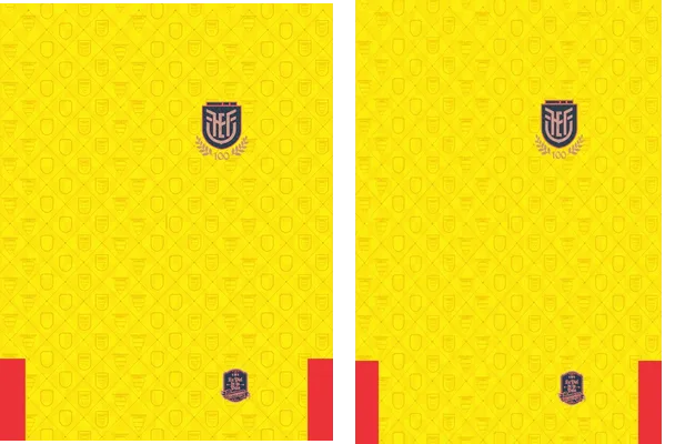 Ecuador 2025 Home Centenario Q 1